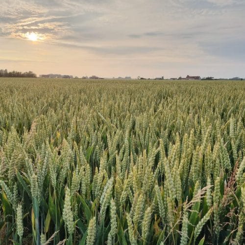 autour de La Haute Muraille